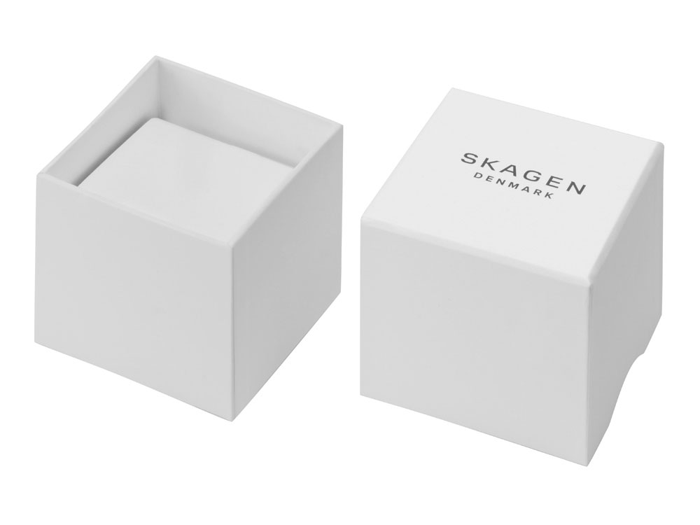 Подарочный набор: часы наручные женские, браслет. Skagen