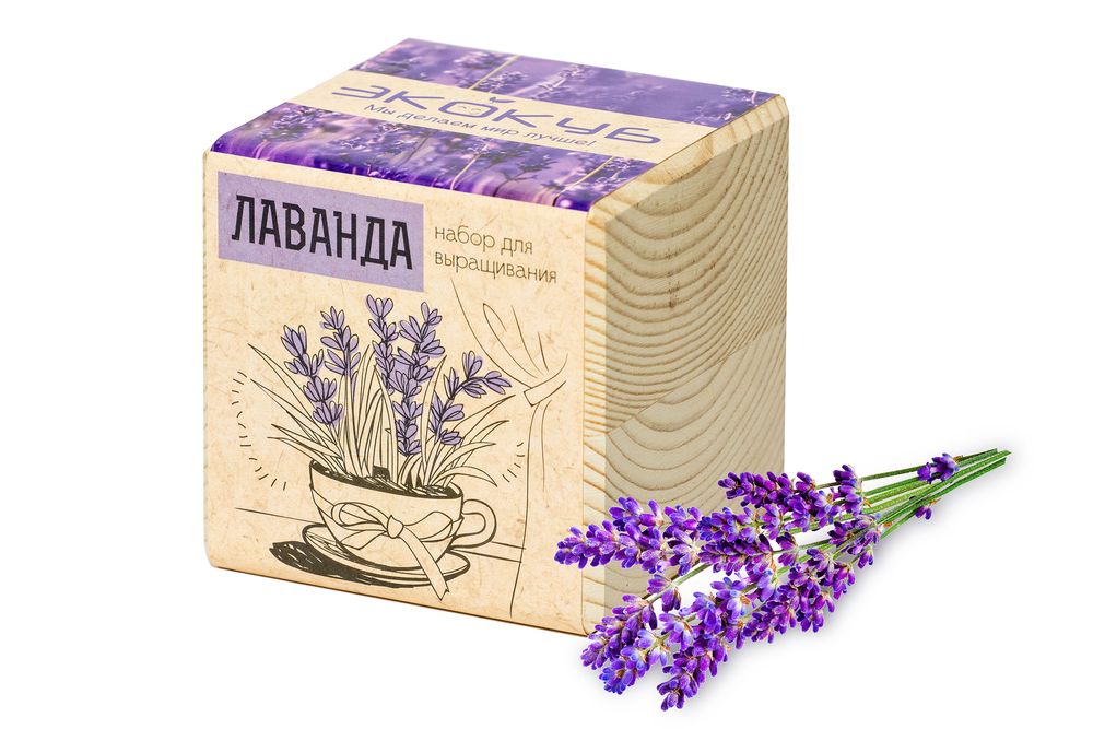 Набор для выращивания «Экокуб» с логотипом  | Print Logo