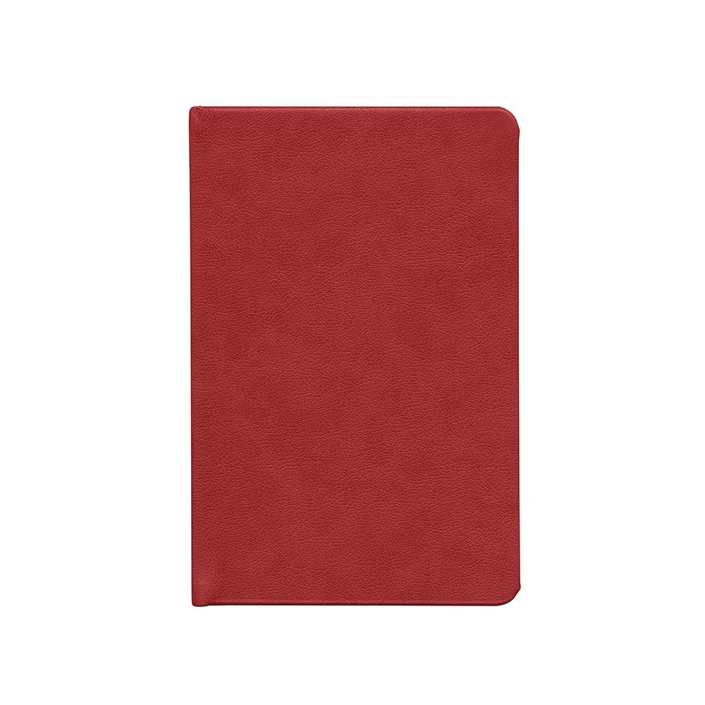 Ежедневник Daily Mini, недатированный