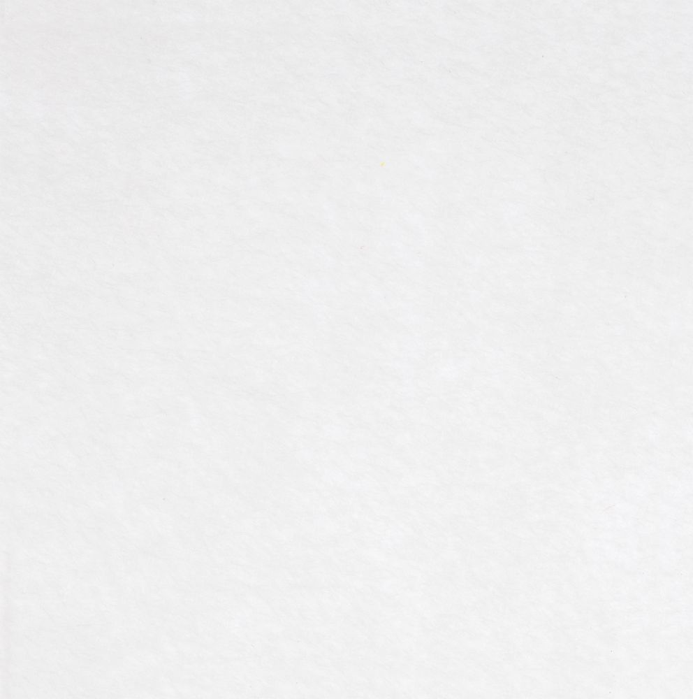 Заготовка из фетра Felt 600 с логотипом  | Print Logo