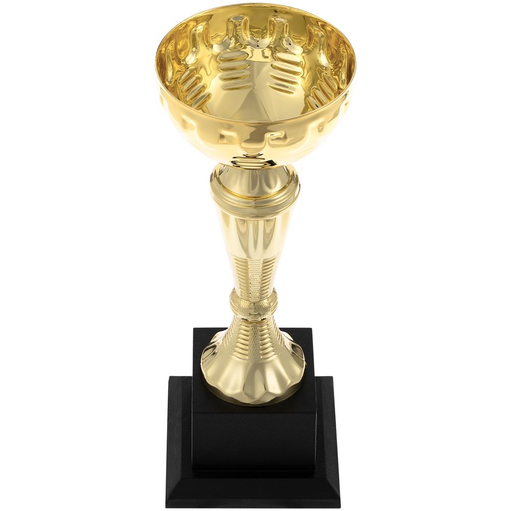 Кубок Vinna, средний — пример нанесения логотипа () | Print Logo