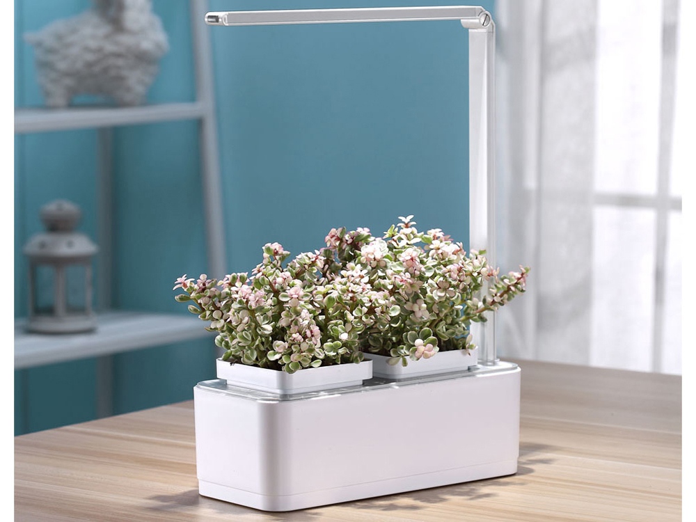 Компактный смарт-сад iGarden LED с подсветкой