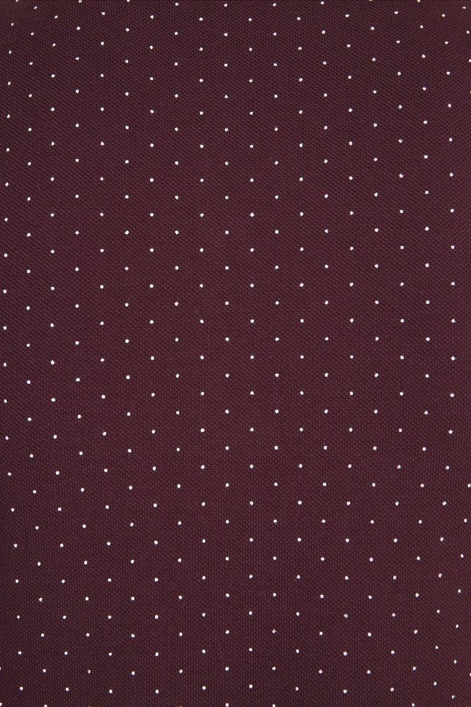 Рубашка поло женская Brandy Women фото на сайте Print Logo.
