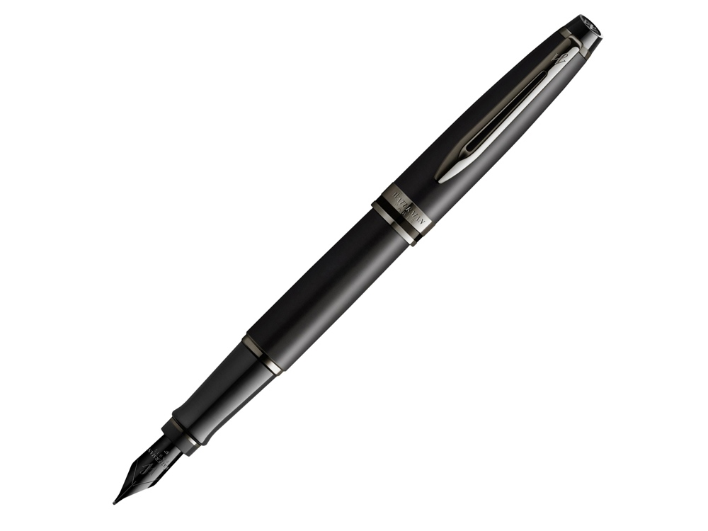 Ручка перьевая Expert Black F BLK фото на сайте Print Logo.