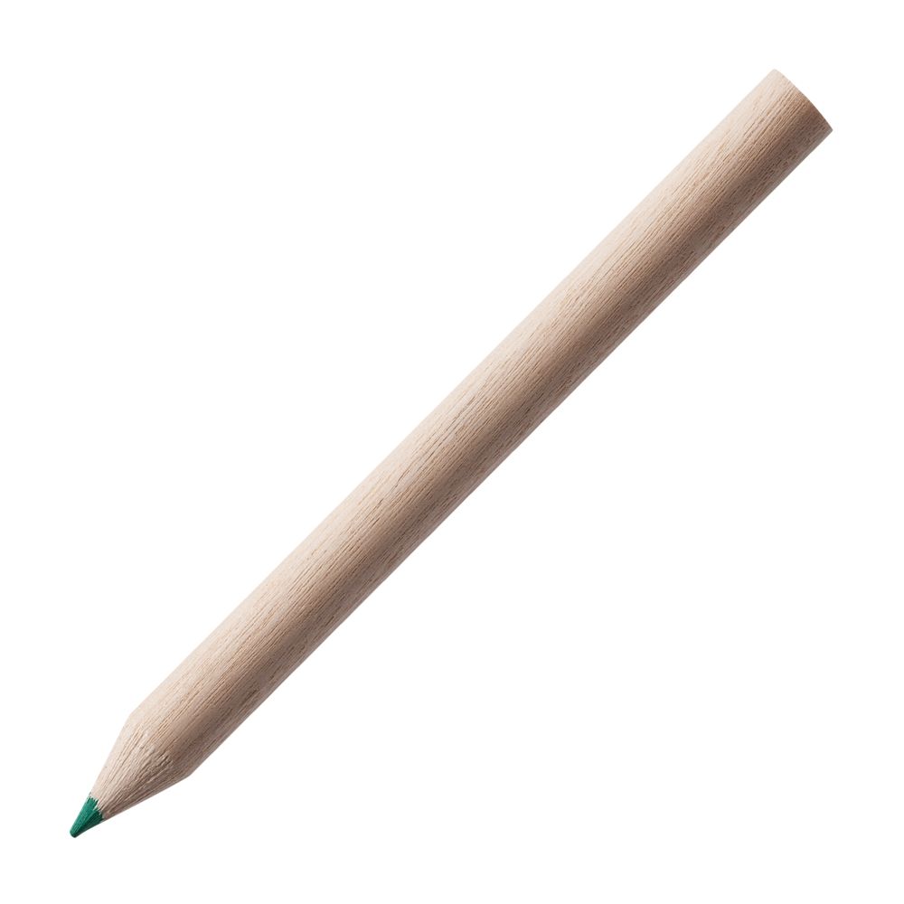 Набор цветных карандашей Pencilvania Middle фото на сайте Print Logo.