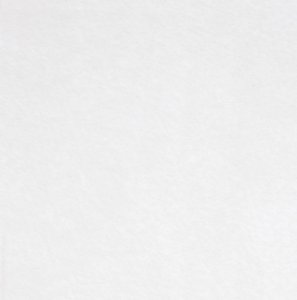 Заготовка из фетра Felt 300 с логотипом  | Print Logo
