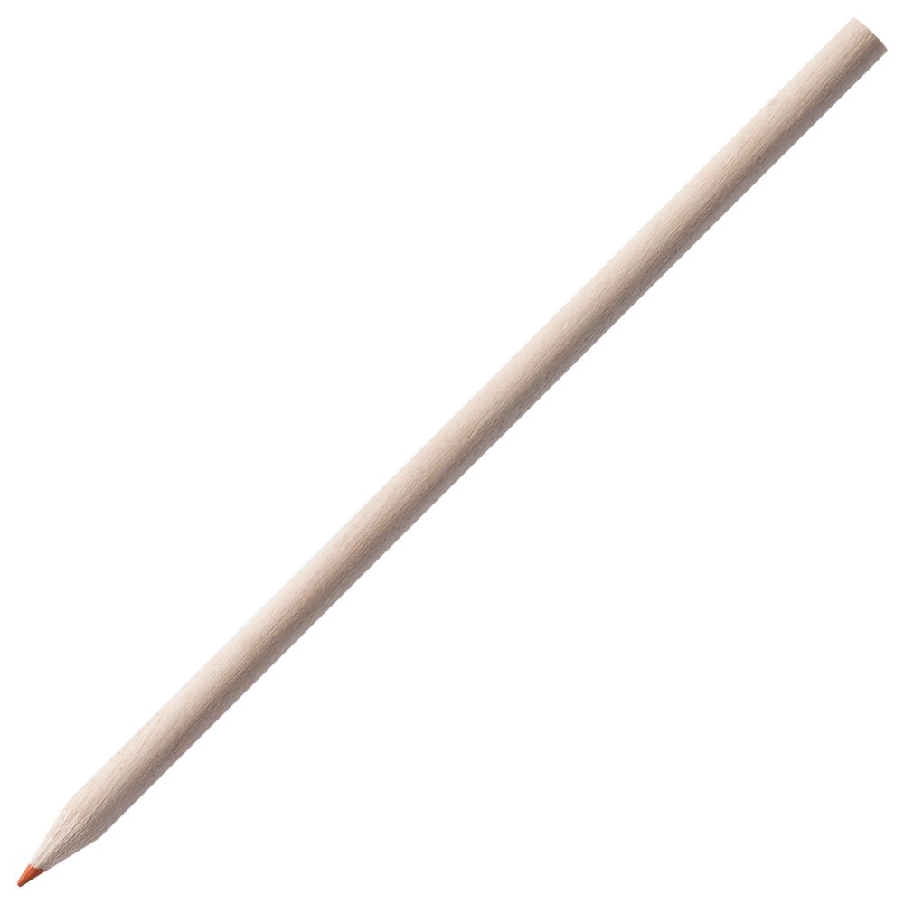 Набор цветных карандашей Pencilvania Maxi фото на сайте Print Logo.