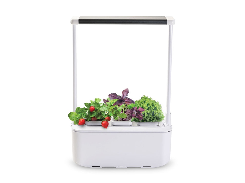 Компактный смарт-сад iGarden PRO с подсветкой с логотипом Назад к истокам | Print Logo