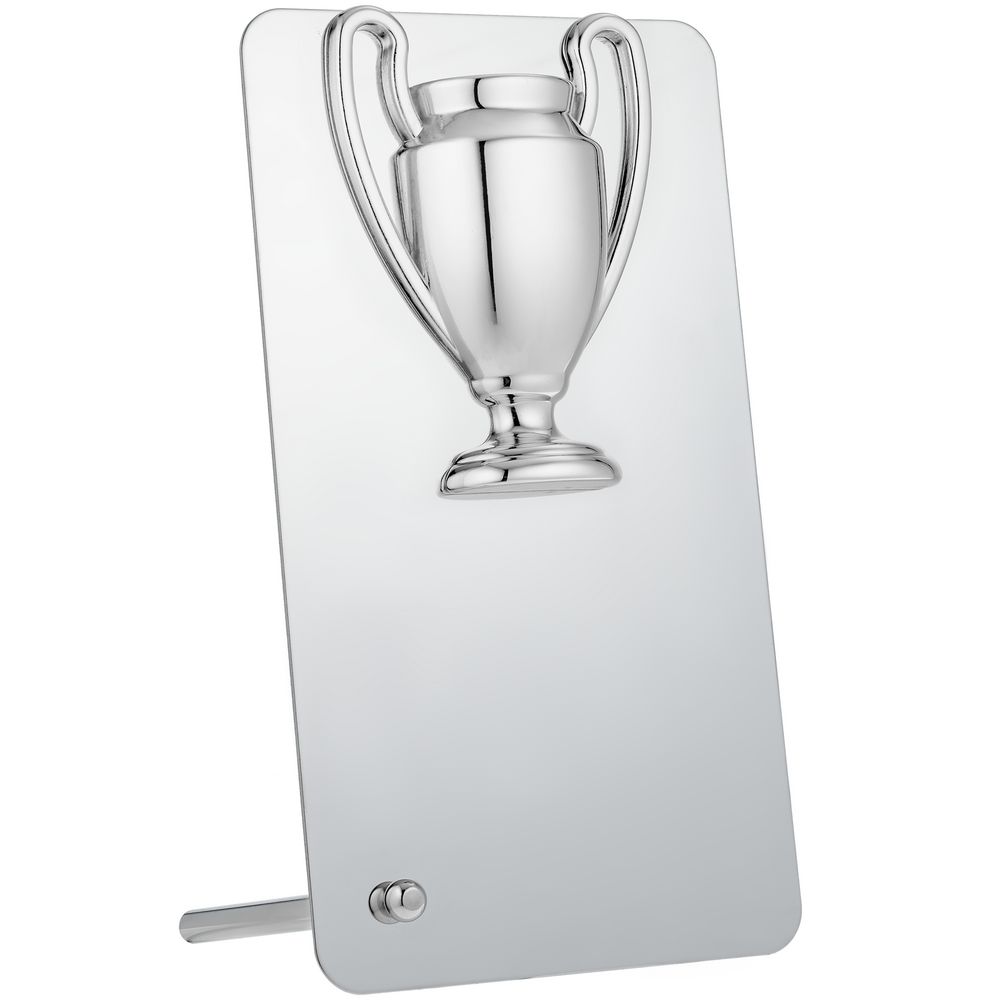 Награда Bowl Silver с логотипом  | Print Logo