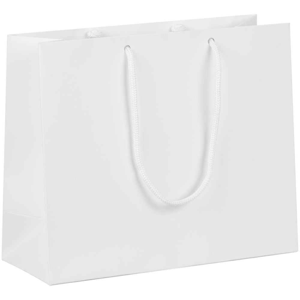 Пакет бумажный с ламинацией Lami Tote S с логотипом  | Print Logo