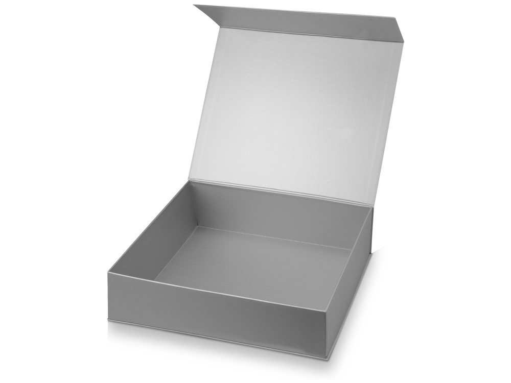 Подарочная коробка Giftbox большая, серебристый