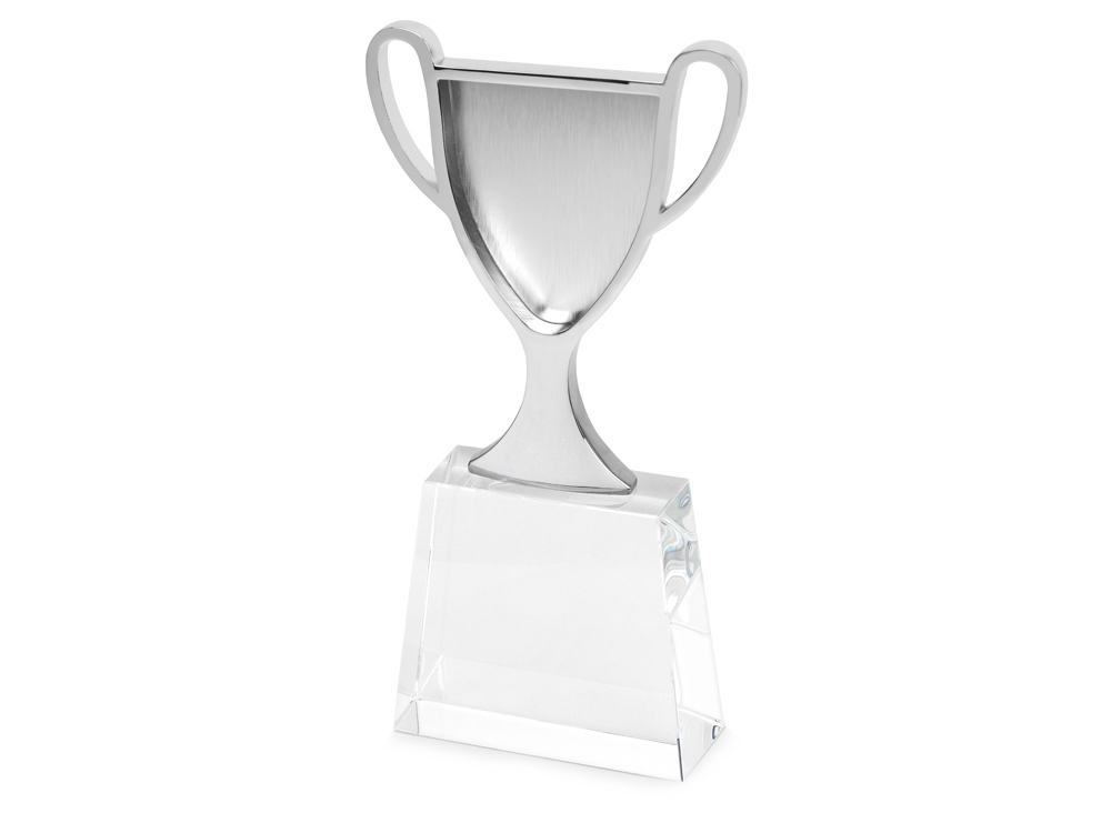 Кубок Champion с логотипом  | Print Logo