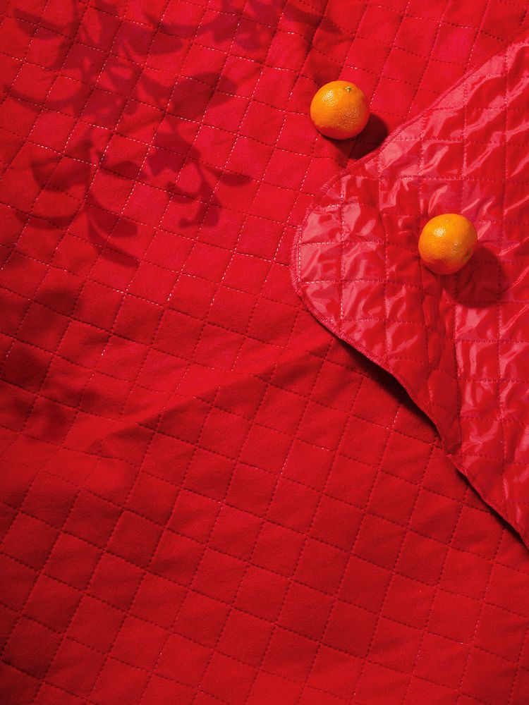 Плед для пикника Soft & Dry 2