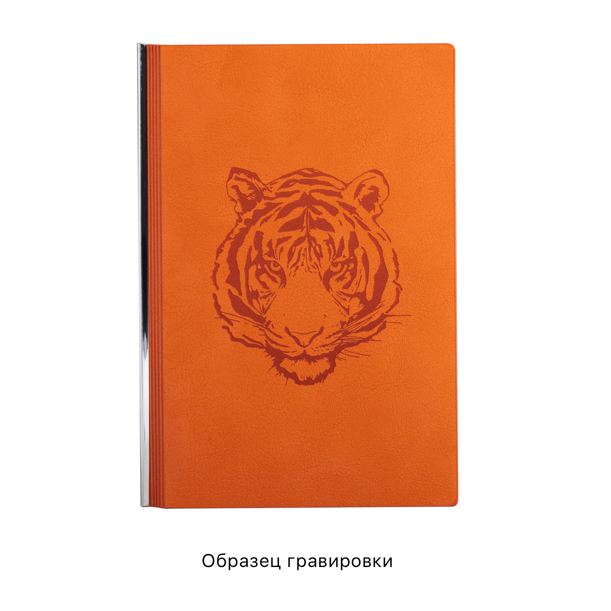 Ежедневник недатированный "Аскона", формат А5, бирюзовый