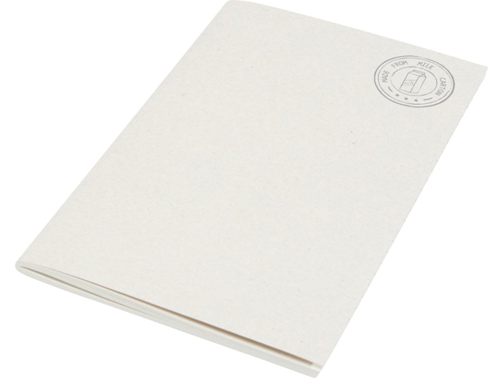Записная книжка А5 Dairy Dream с логотипом  | Print Logo