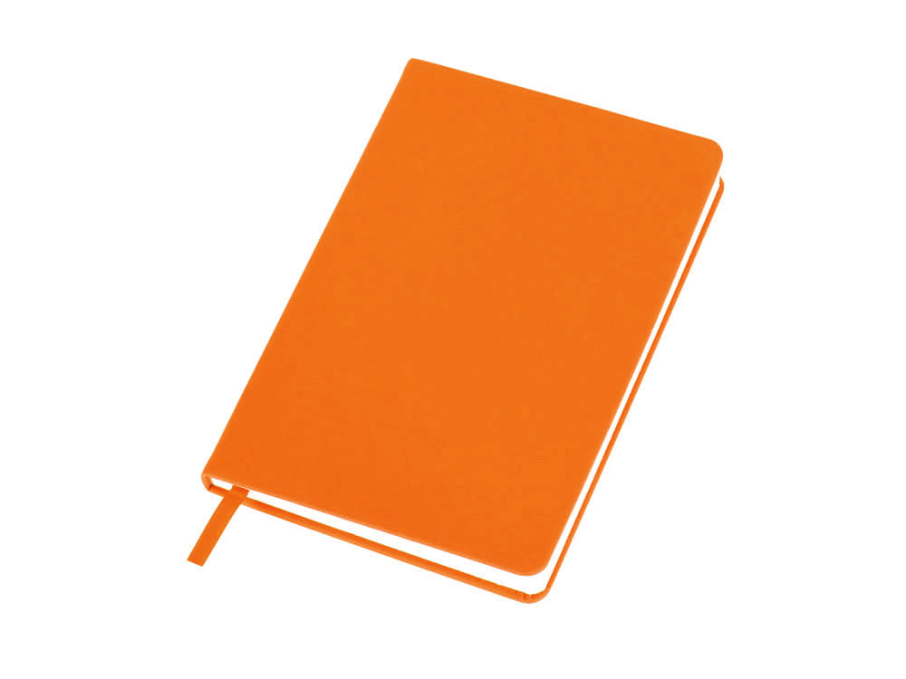 Бизнес-блокнот А5 C2 soft-touch с логотипом  | Print Logo