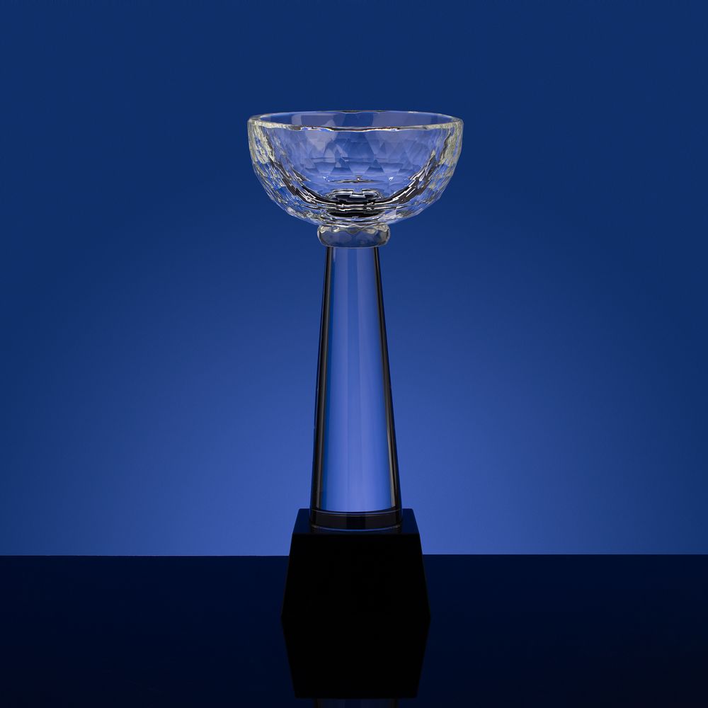 Кубок Cupture