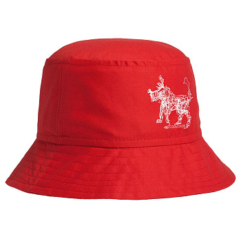 Панама «Собака Каляка» с логотипом CoolColor | Print Logo
